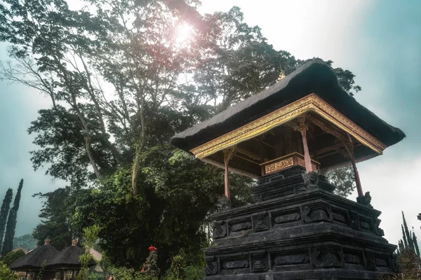 Bali Tapınağı yeşil yemyeşil ağaç ve tropikal orman ortasında