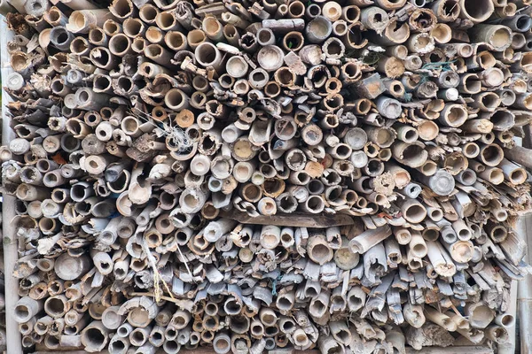Bambu kazık kurumuş. Kullanılmayan eski bambu keser ve woods yığını
