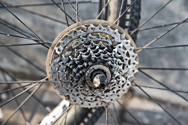 Bicycle repair. Bicycle chain close-up.