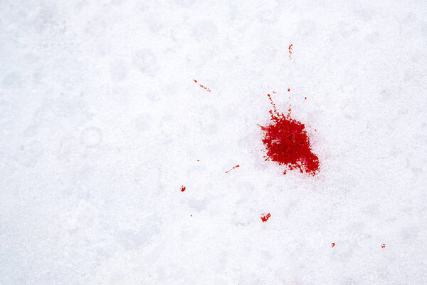 Blood on the snow