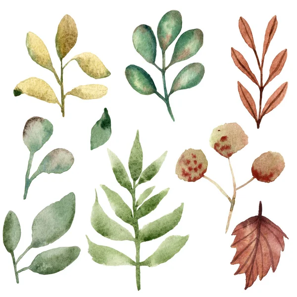 Aquarell Wald florale Illustration. — Stockfoto