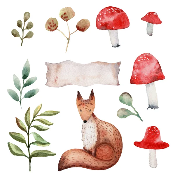 Mignonne illustration aquarelle de renard debout. Plantes forestières . — Photo