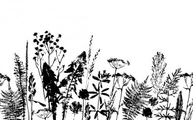 Bitkisel seamless modeli. Botanik sınır. Vektör çimen arka plan.