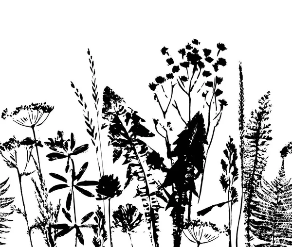 Bitkisel seamless modeli. Botanik sınır. Vektör çimen arka plan.