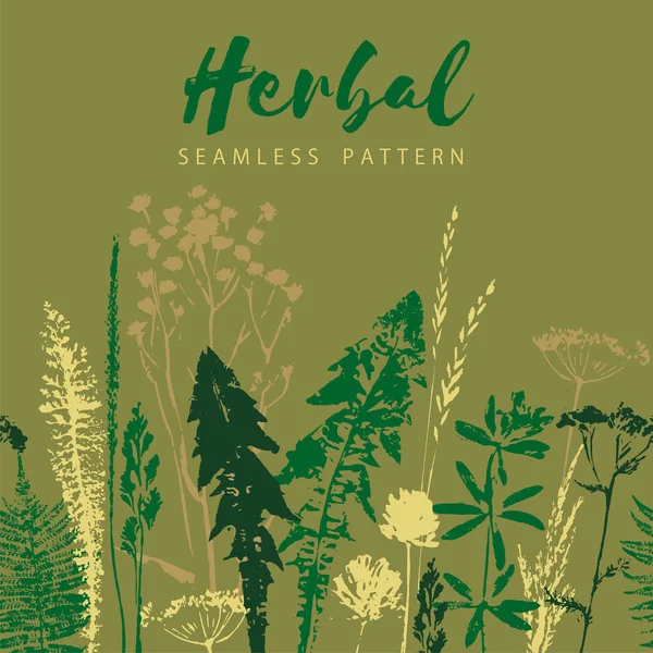 Herbal seamless pattern. Botanical border. Vector grass background. — Stock Vector