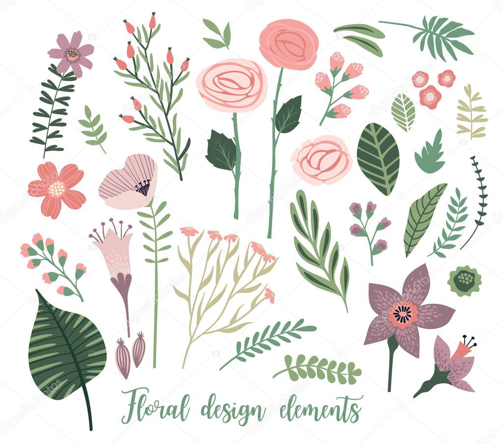 Vector floral design elements. Leaves, flowers, grass, branches, berries.