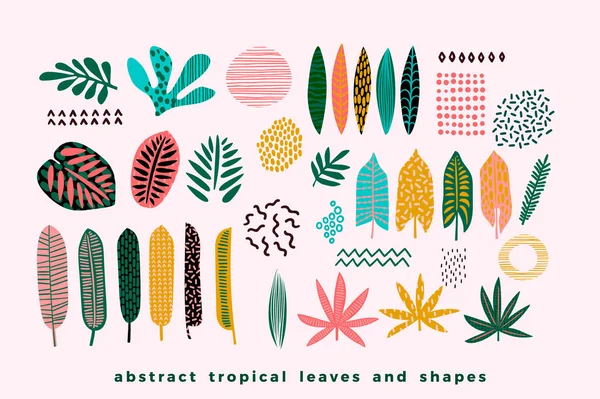 Conjunto de folhas tropicais abstratas . — Vetor de Stock