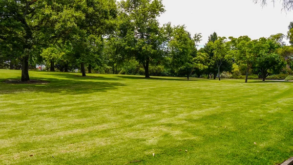 Güney Avustralya, Ocak 2017 Adelaide şehir yeşil bir park peyzaj