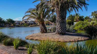 Park Adelaide Ocak 2017 yılında Avustralya'da Güney kanal kıyısında güzel ağaçlar ile. Duvar resmi