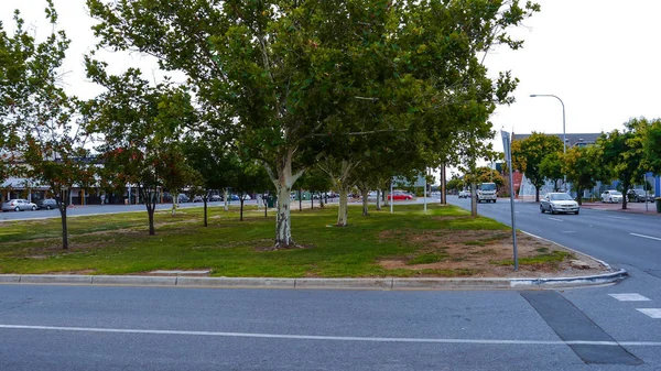 Landschap straat Adelaide South Australia in januari 2017 — Stockfoto