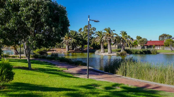Πάρκο με τα πανέμορφα πλατάνια στις όχθες του καναλιού νότια της Αδελαΐδας στην Αυστραλία σε Ιανουαρίου 2017. Τοιχογραφία — Φωτογραφία Αρχείου