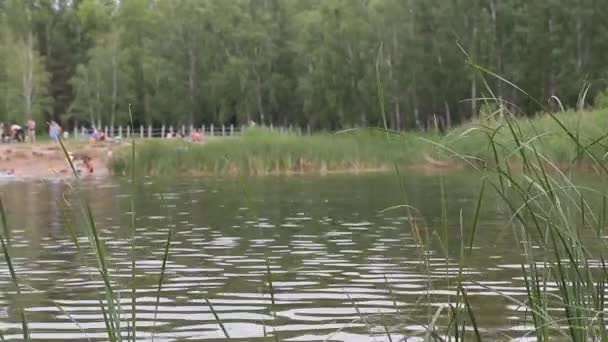 Люди отдыхают на пруду в городском парке — стоковое видео