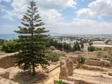 Tunus çöl antik bir yerleşim kalıntıları. Kuzey Afrika'nın kültürel miras