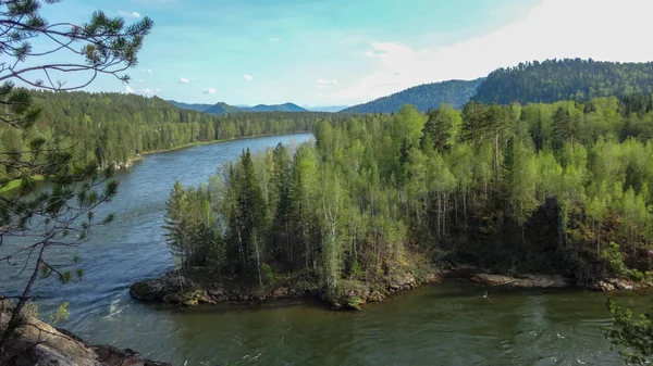 Paisaje de las montañas Altai, Siberia, el rápido flujo del río Katun, el precipicio y los pinos — Foto de Stock