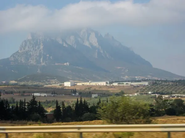 Montagnes avec oliveraies. Paysage en Tunisie . — Photo