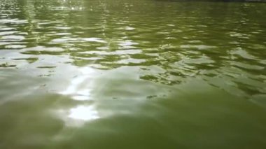 Göldeki suyun yüzeyinde güneş ışığı parlaması var. Şehir gölünün dalgalarında ışığın yansıması