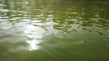 Suyun yüzeyinde güneş ışığı parlıyor.