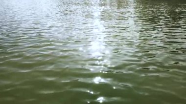 Suyun yüzeyinde güneş ışığı parlıyor.