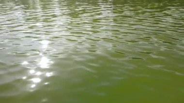 Suyun yüzeyinde güneş ışığı parlıyor.