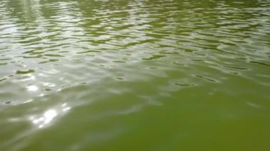 Suyun yüzeyinde güneş ışığı parlıyor.
