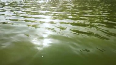 Suyun yüzeyinde güneş ışığı parlıyor.