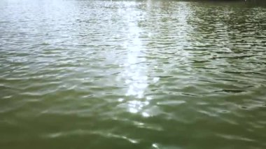 Suyun yüzeyinde güneş ışığı parlıyor.