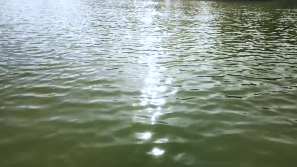 Éblouissement de la lumière du soleil à la surface de l'eau — Video