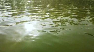 Suyun yüzeyinde güneş ışığı parlıyor.