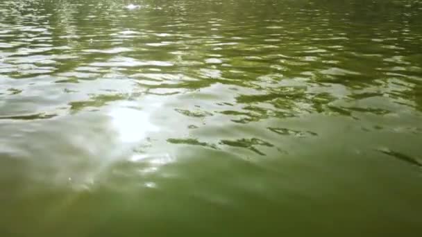 Deslumbramiento de la luz solar en la superficie del agua — Vídeo de stock