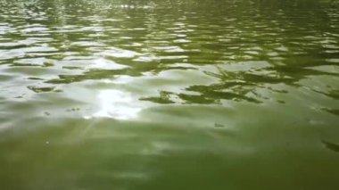 Suyun yüzeyinde güneş ışığı parlıyor.