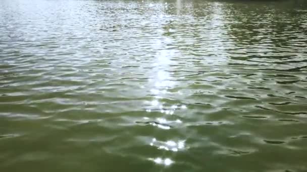 Gleißendes Sonnenlicht auf der Wasseroberfläche — Stockvideo