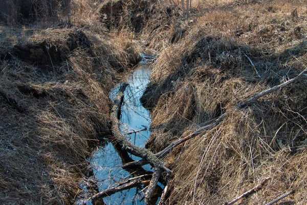 Zamarznięty Strumień Spring Park Przeciwko Błękitnemu Niebu — Zdjęcie stockowe