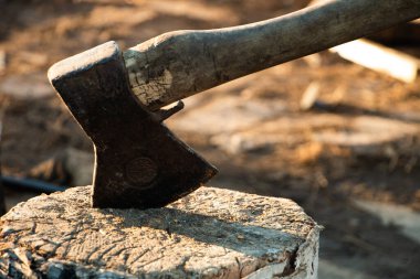 Balta ve tahta ağaç kütükleri kesmeye hazır.