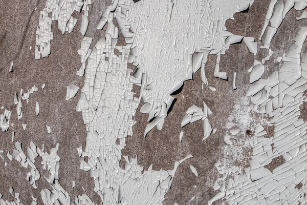 Текстура Старой Светлой Краски Отделяющей Поверхность Древесины — стоковое фото