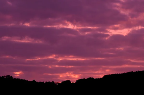 Belo céu vermelho acima da floresta escura ao pôr-do-sol — Fotografia de Stock