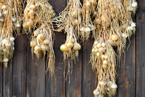 Kahverengi ahşap Komiteler doku altın soğan kurutulmuş — Stok fotoğraf