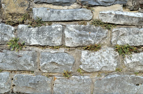 Massiv stenmur täckt med mossa textur — Stockfoto