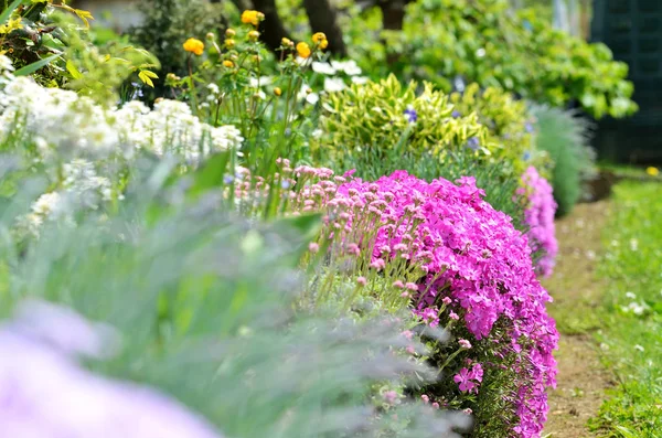 庭で花の岩石庭園 — ストック写真