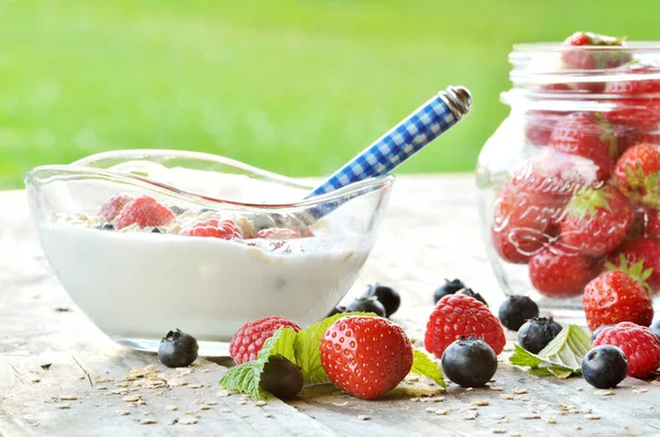 Weißer Joghurt in einer Schüssel mit Haferflocken, Blaubeeren, einem Glas Erdbeeren — Stockfoto