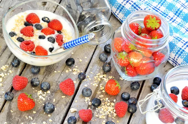 Weißer Joghurt in einer Schüssel mit Haferflocken, Blaubeeren, Himbeeren und Erdbeeren — Stockfoto