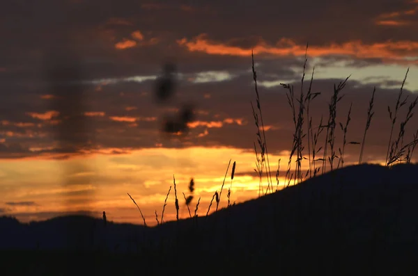 Silueta Hierba Atardecer Naranja Cielo Silueta Montañas —  Fotos de Stock