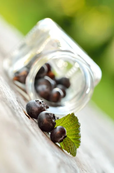 Jar Spilled Blueberries Green Leaf Wooden Table Garden — Stock Photo, Image