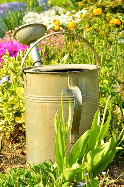 Old Garden Watering Can Surrounded Flowers Garden Summer Art Vertical — Stock Photo, Image
