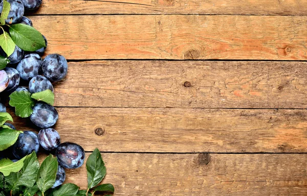 Ameixas azuis e moldura de folhas frescas em fundo de madeira rústica com espaço de cópia vista superior . — Fotografia de Stock