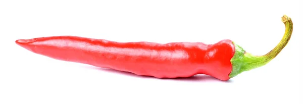 Közelkép a piros csípős chili paprika fűszer Piri Piri elszigetelt fehér alapon. — Stock Fotó