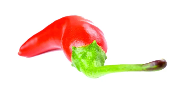 Red pimenta pimenta pimenta picante Piri Piri isolado no fundo branco . — Fotografia de Stock