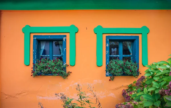 Janelas coloridas velhas com flores — Fotografia de Stock