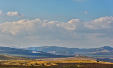 Yaz aylarında çiçek açan araziler, Dobrogea, Romanya