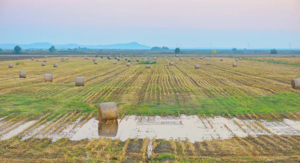 Tramonto sul campo agricolo con balle di fieno — Foto Stock