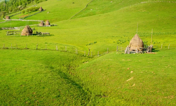 Haystacks in the romanian mountains — Stock Photo, Image